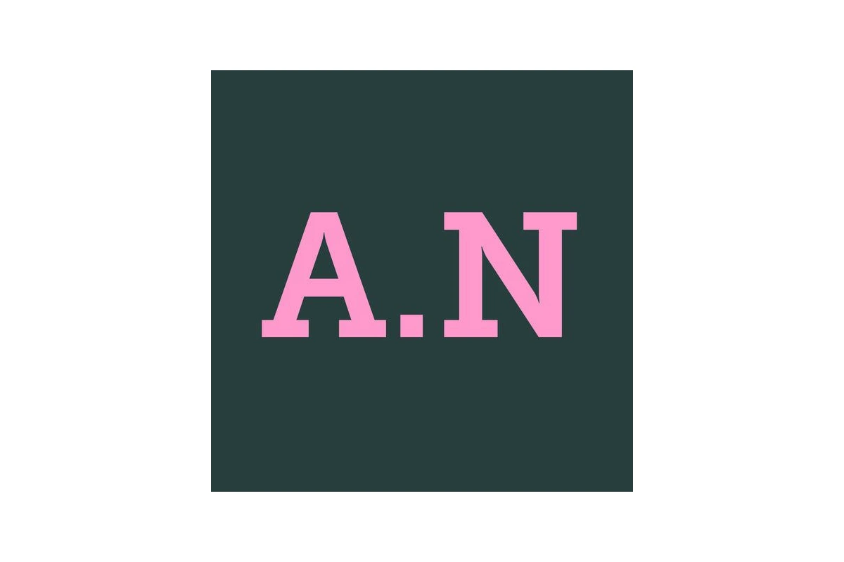 A.N ESTETIK – logotyp